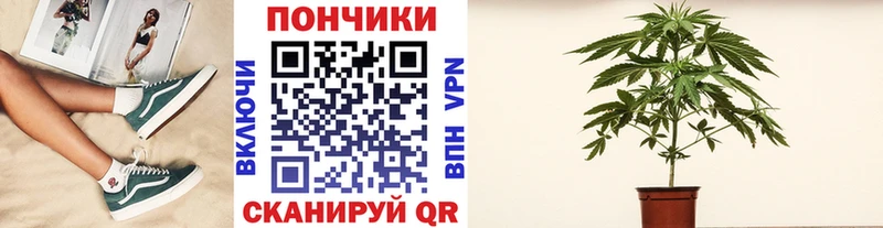 МАРИХУАНА Amnesia  где купить   Нижний Тагил 
